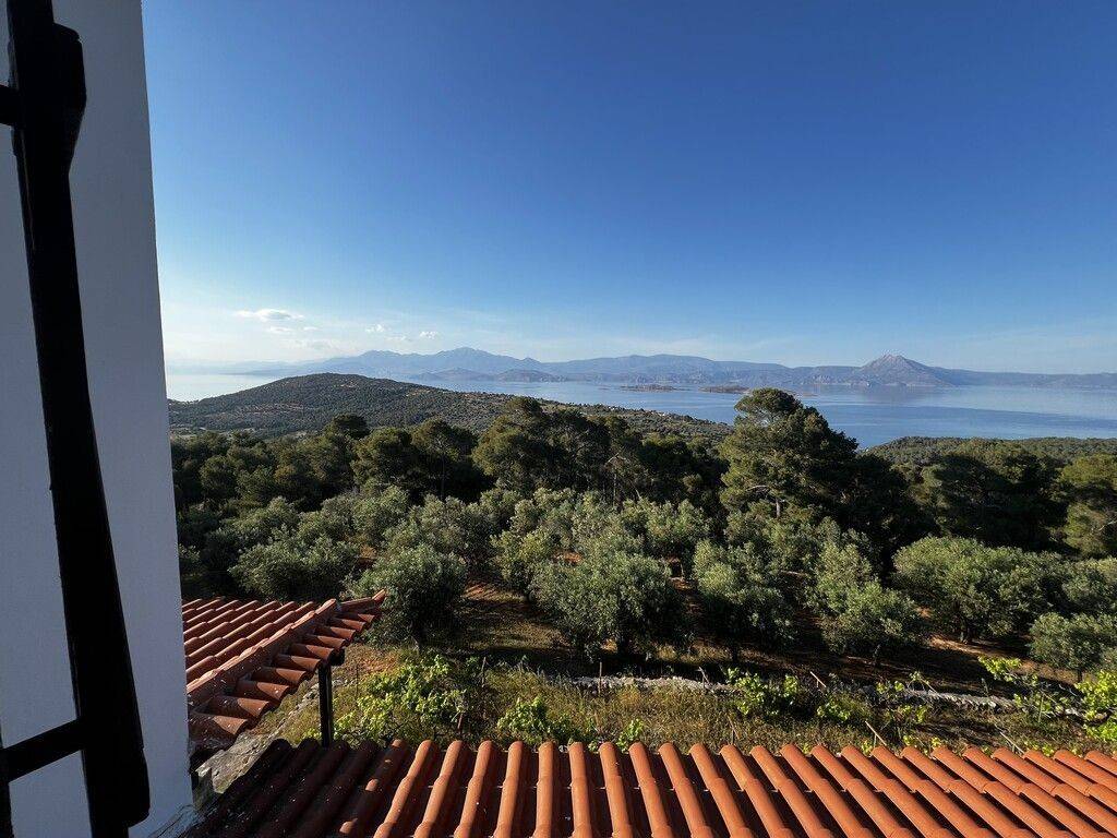 Detached - Grekodom 64476|1018273