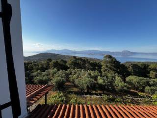 Detached - Grekodom 64476|1018273