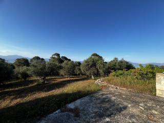 Detached - Grekodom 64476|1018281