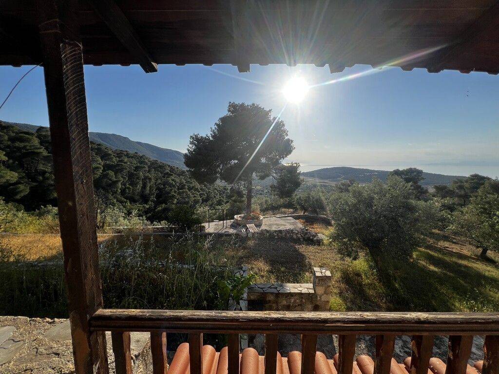 Detached - Grekodom 64476|1018285