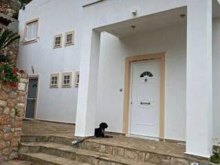 Detached - Grekodom 60578|900079