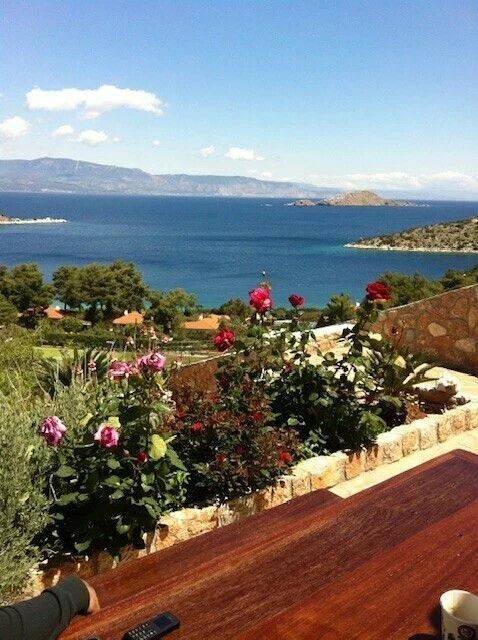 Detached - Grekodom 60578|900090