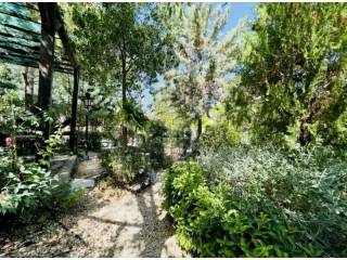 Detached - Grekodom 60759|904575