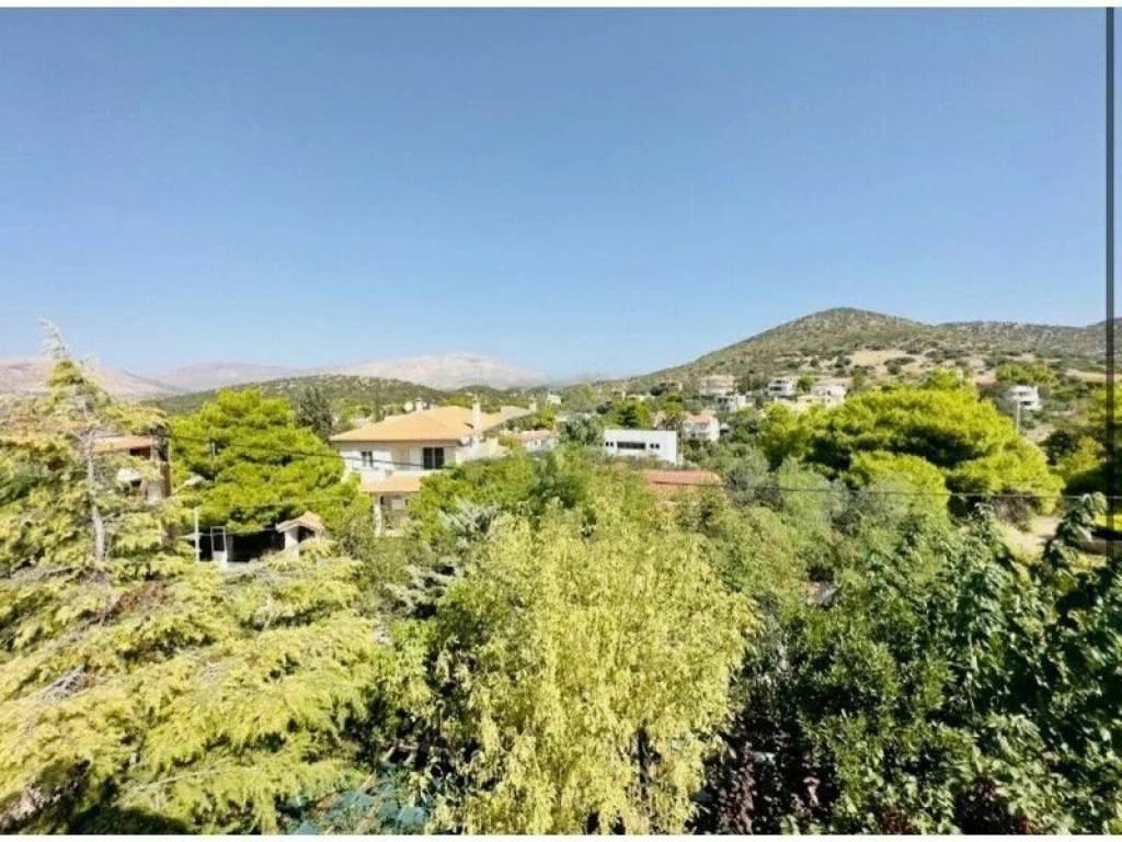 Detached - Grekodom 60759|904577