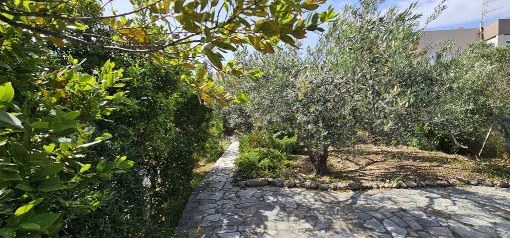 Detached - Grekodom 62965|988519