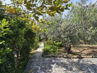 Detached - Grekodom 62965|988519