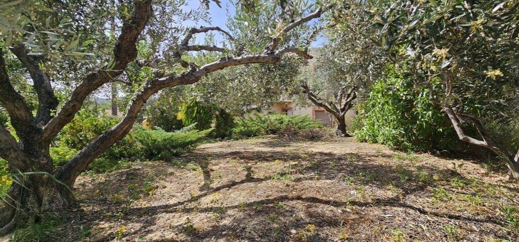 Detached - Grekodom 62965|988518