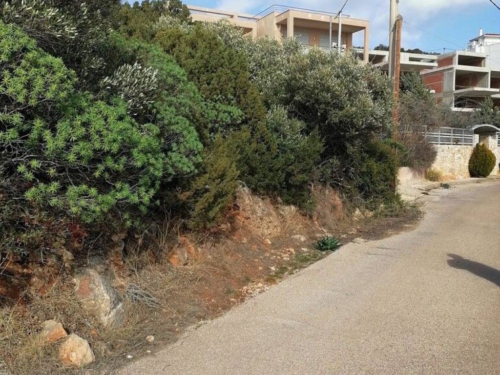 Plot - Grekodom 60861|907219