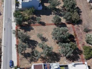 Plot - Grekodom 60935|911084