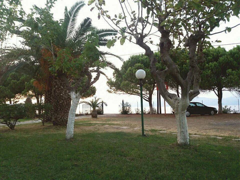 Building - Grekodom 60880|907633