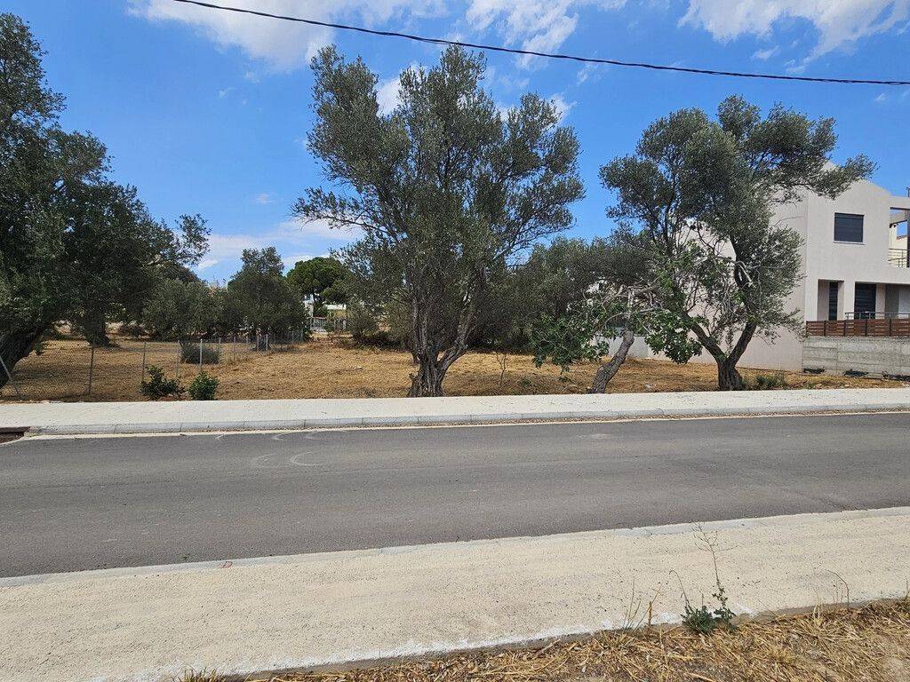 Plot - Grekodom 60935|911081