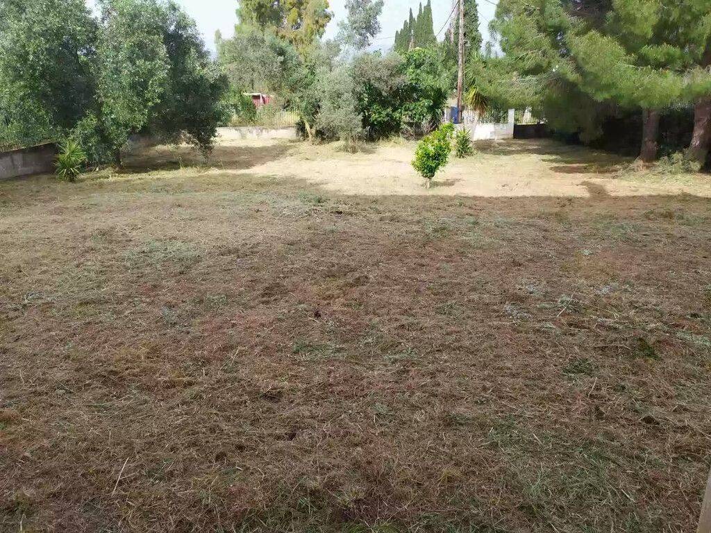 Detached - Grekodom 61369|923875