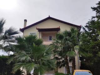 Apartment - Grekodom 61648|932469