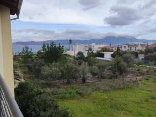 Apartment - Grekodom 61648|932470