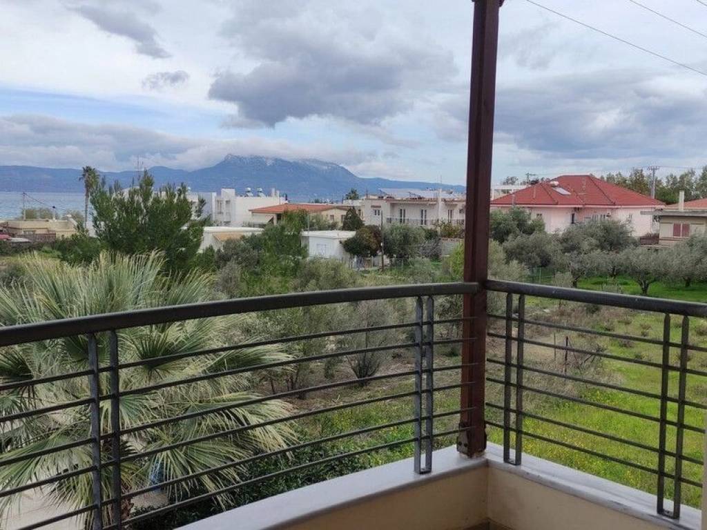 Apartment - Grekodom 61648|932475