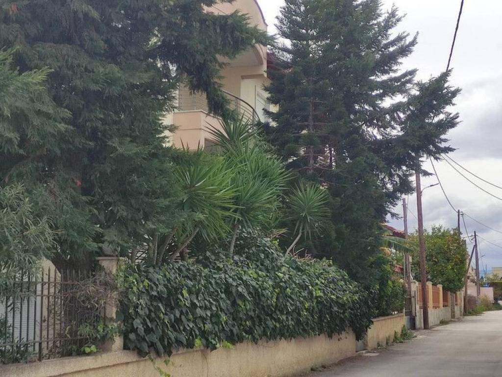 Apartment - Grekodom 61648|932479