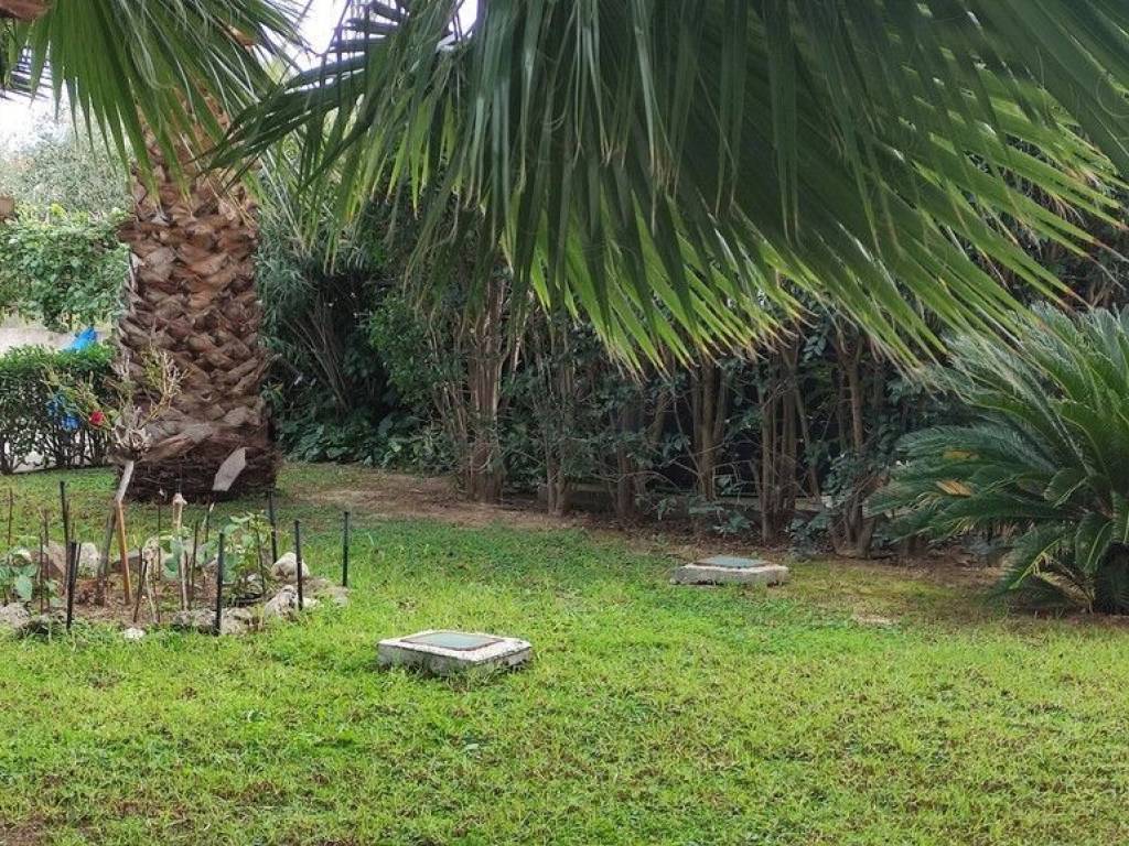 Apartment - Grekodom 61648|932480