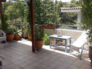 Building - Grekodom 49663|737748