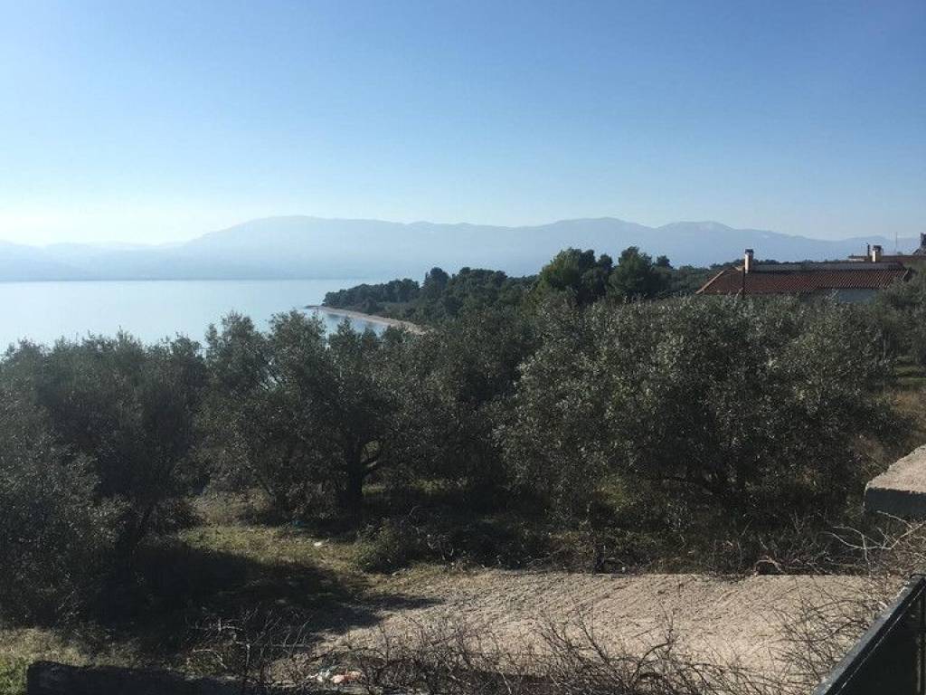 Plot - Grekodom 47084|682771