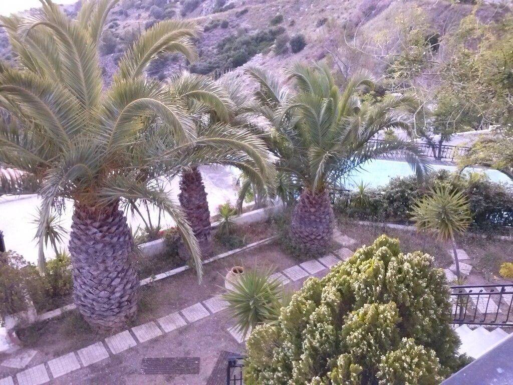 Detached - Grekodom 47097|683048