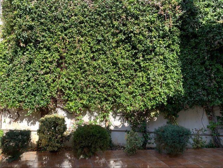 Villa - Grekodom 44096|642952