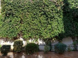 Villa - Grekodom 44096|642952