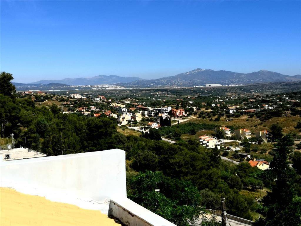 Detached - Grekodom 38394|573227