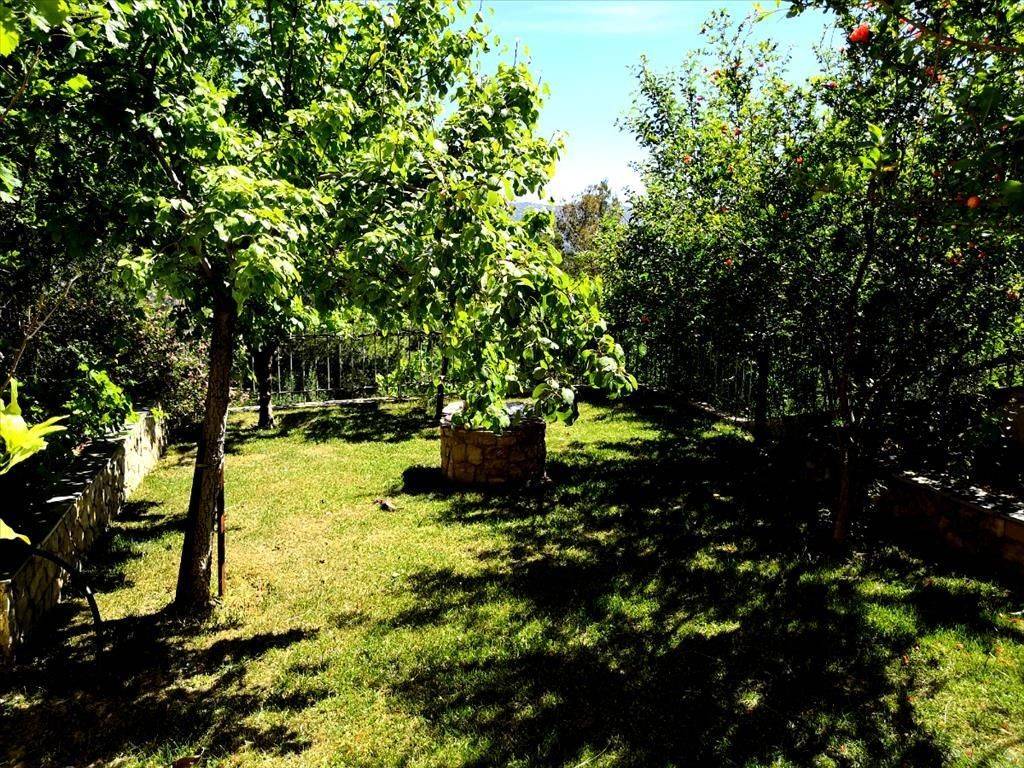 Detached - Grekodom 38394|573233