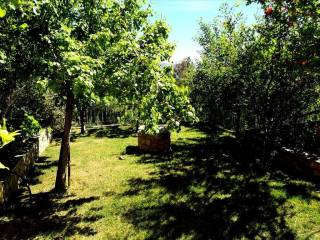 Detached - Grekodom 38394|573233