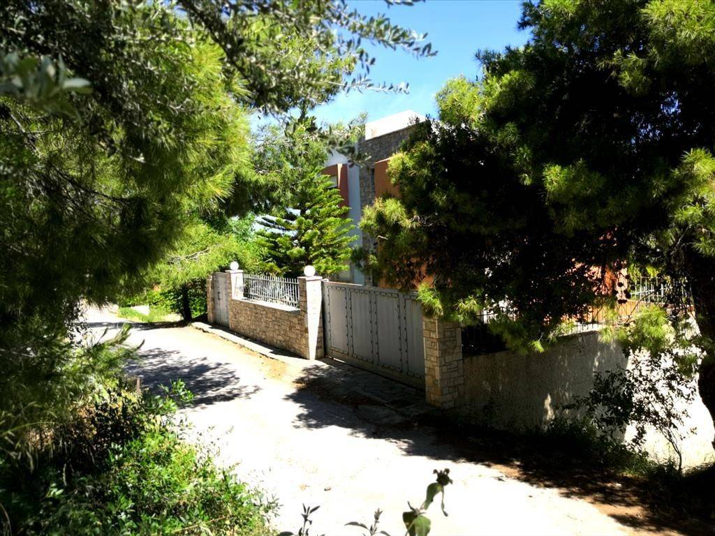 Detached - Grekodom 38394|573234