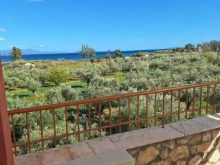 Maisonette - Grekodom 61946|940837