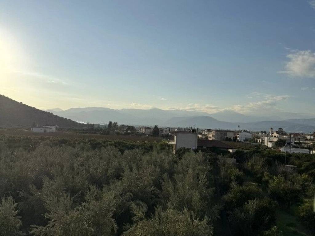 Detached - Grekodom 62229|951898