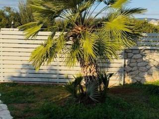 Detached - Grekodom 62229|951906