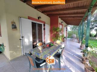 Ύπαρξη ανθρώπου