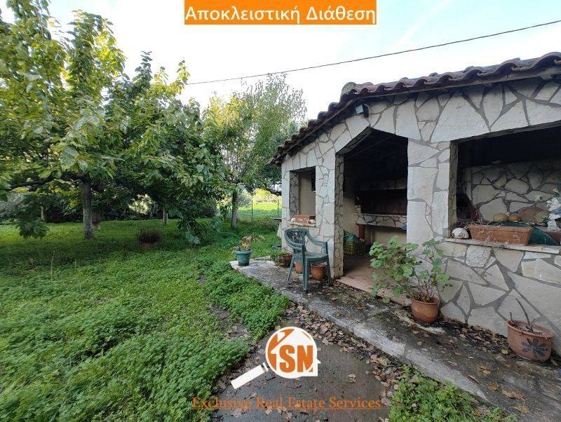 Εξωτερικός χώρος