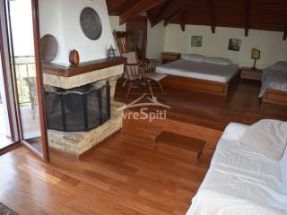 ΤΖΑΚΙ ΣΟΦΙΤΑΣ