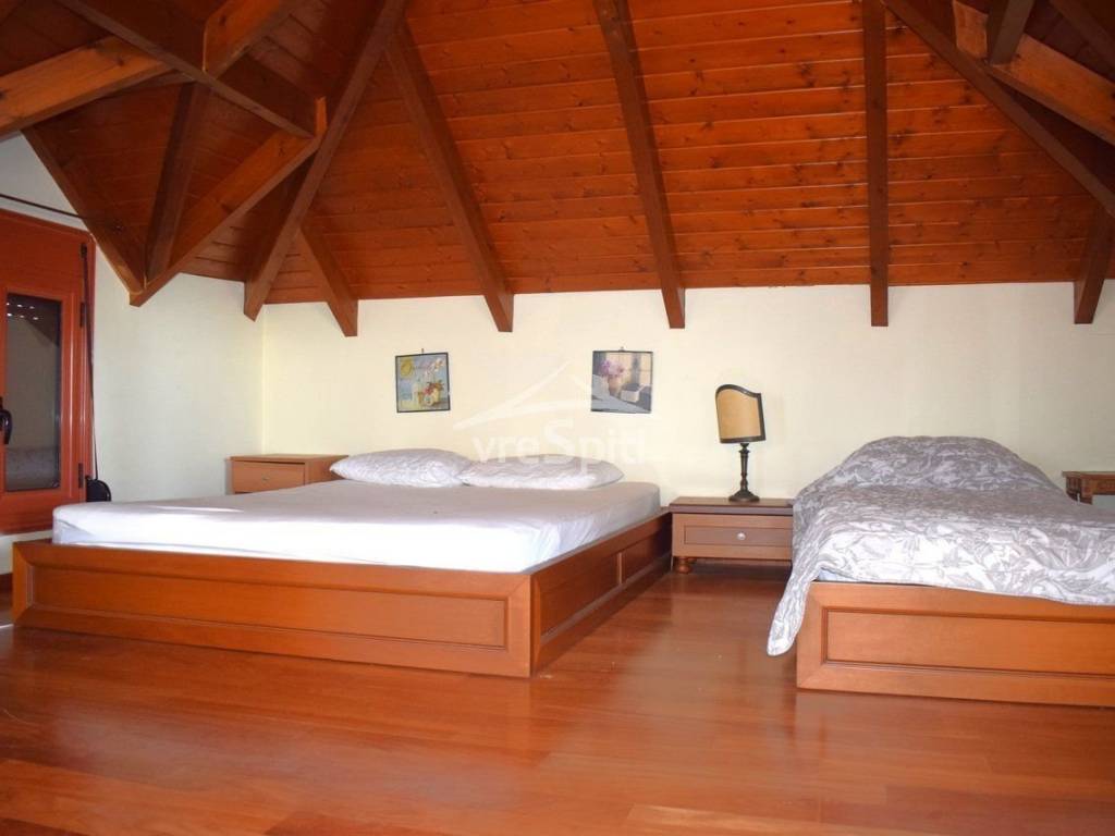 ΑΠΟΨΗ ΣΟΦΙΤΑΣ