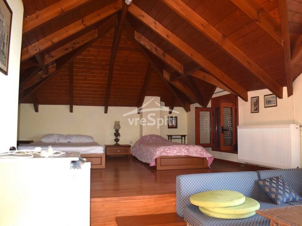 ΑΠΟΨΗ ΣΟΦΙΤΑΣ