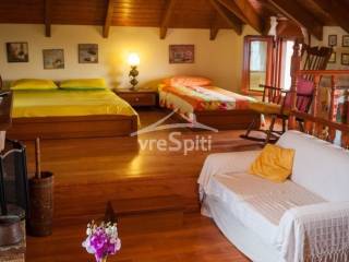 ΑΠΟΨΗ ΣΟΦΙΤΑΣ