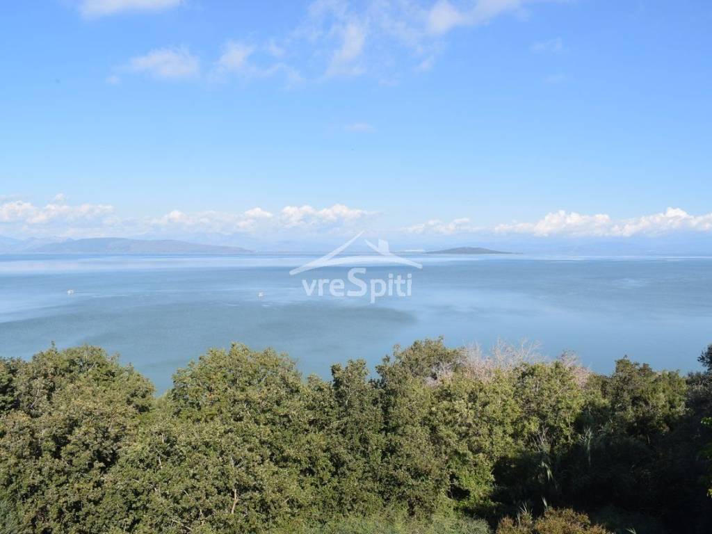 ΘΕΑ ΜΟΝΟΚΑΤΟΙΚΙΑΣ