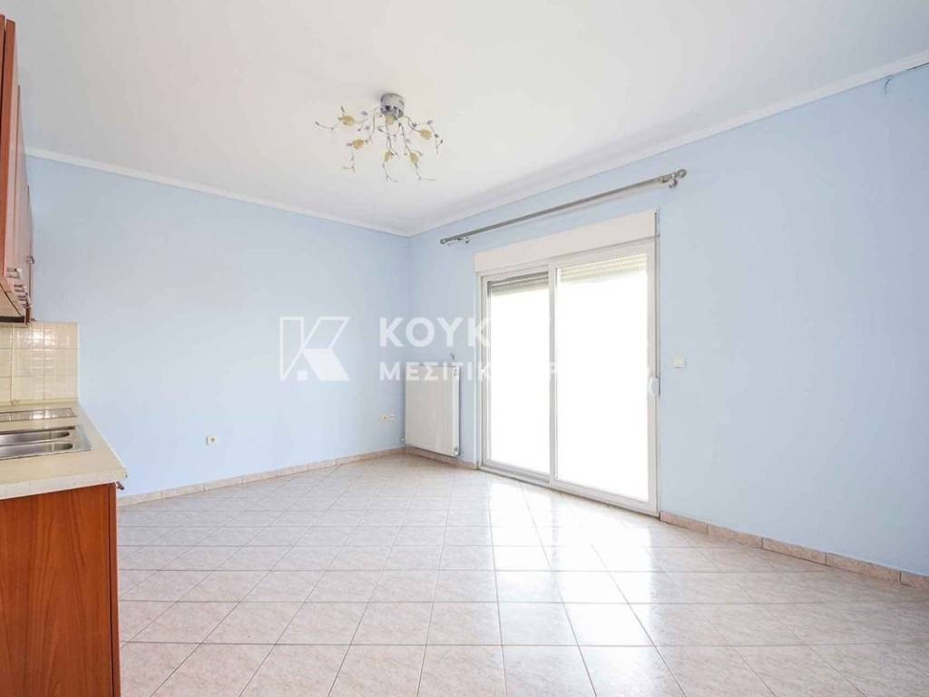 Σαλοκουζίνα