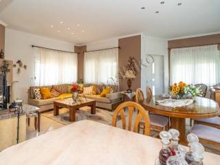 Σαλοκουζίνα