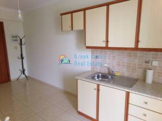 Σαλοκουζίνα