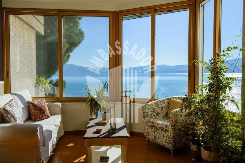 Ύπαρξη ανθρώπου