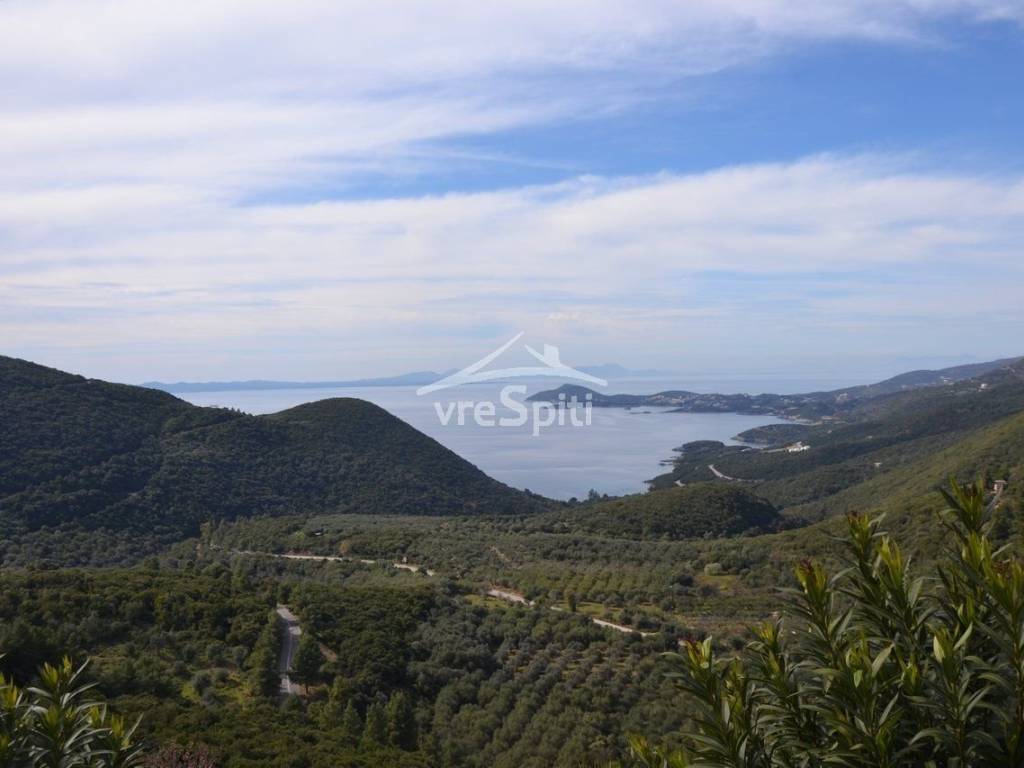 ΘΕΑ ΠΕΡΔΙΚΑ