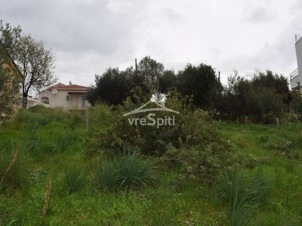 ΑΠΟΨΗ ΟΙΚΟΠΕΔΟΥ