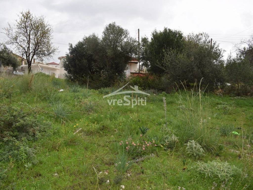 ΑΠΟΨΗ ΟΙΚΟΠΕΔΟΥ