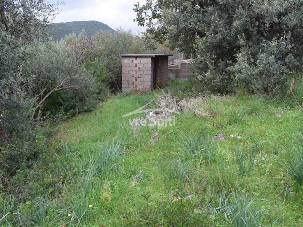 ΑΠΟΨΗ ΟΙΚΟΠΕΔΟΥ