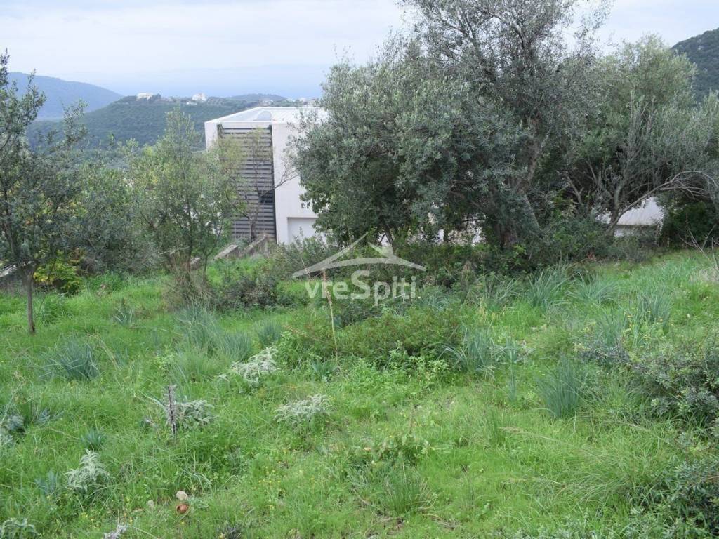 ΑΠΟΨΗ ΟΙΚΟΠΕΔΟΥ