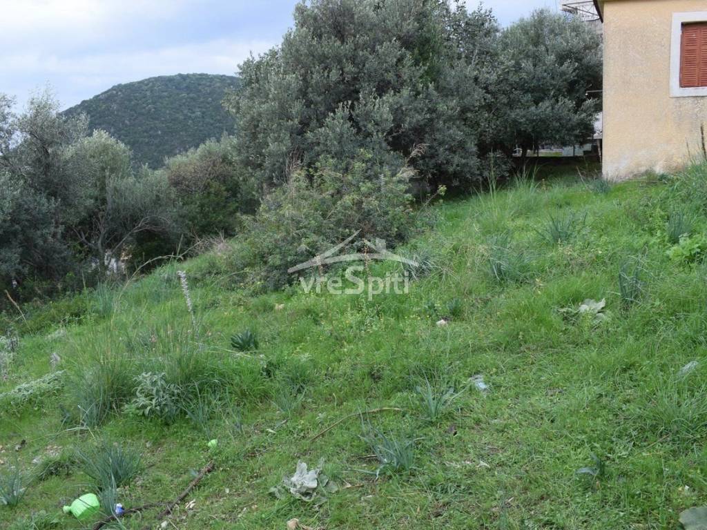 ΑΠΟΨΗ ΟΙΚΟΠΕΔΟΥ